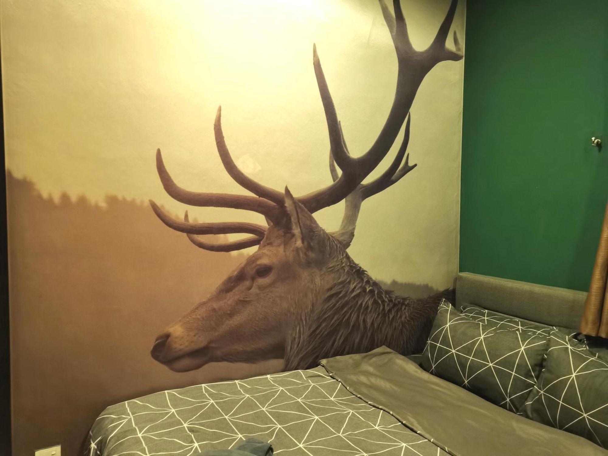 Cozy Forest Themed Homestay 4 Bedroom Kuala Lumpur Exterior foto